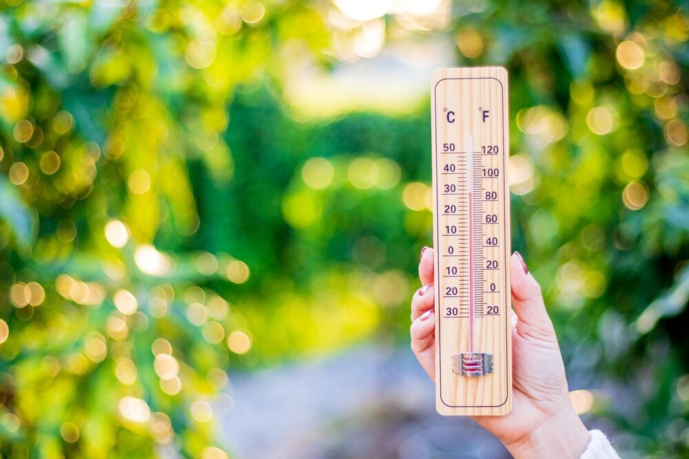 Odśnieżanie miasta w toku po intensywnych opadach